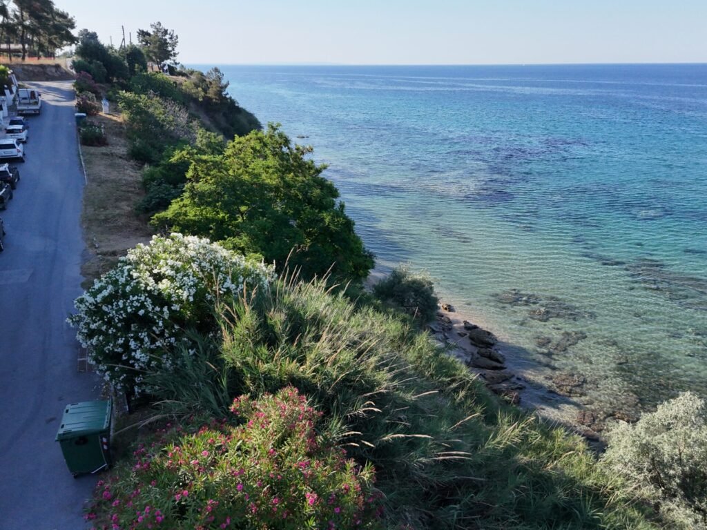 sea la vie